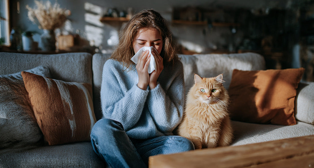 Roboterstaubsauger für Allergiker: Was Sie Wissen Müssen