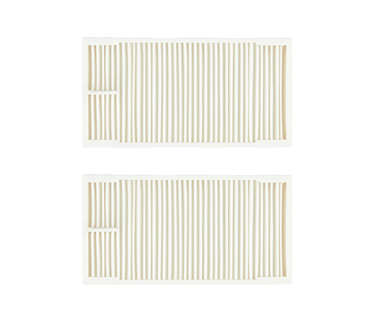 <tc>EUREKA</tc> Filtre HEPA E10s E20Plus*2