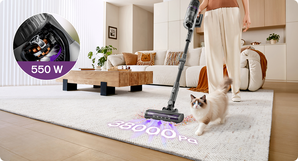 Nettoyage en profondeur puissant